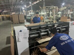 Bao bì Việt Hưng 4