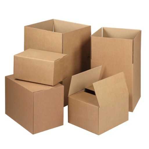 Bao bì giấy Trương Tín Phát 3