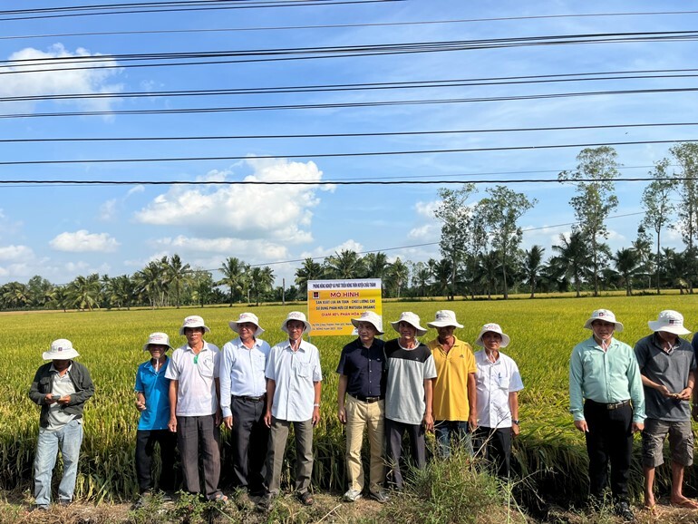 Phân bón Grow Fa 3