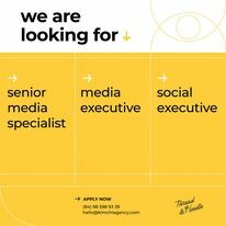 Kim Chỉ Việt Nam 3