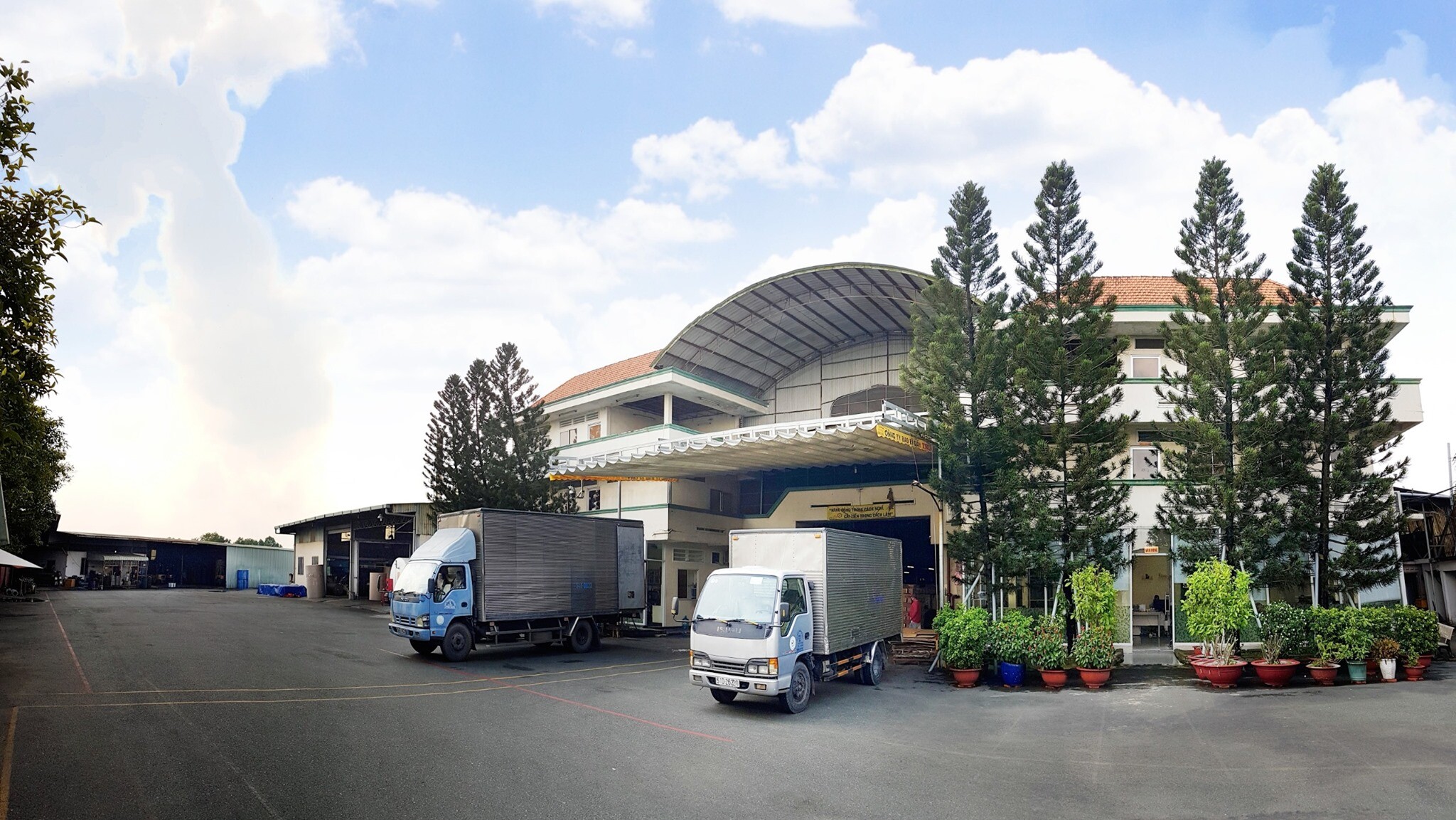 Bao bì giấy Trương Tín Phát 6