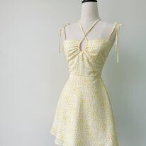 Xuất Nhập Khẩu Apis 2