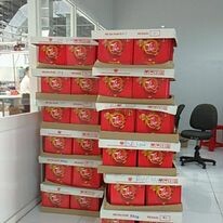 ALPINE CREATIONS VIỆT NAM 9