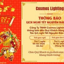 Cosmos Lighting 10