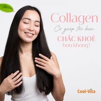 CỰC NGẦU - CoolVita 6