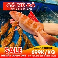 HẢI SẢN 68 10