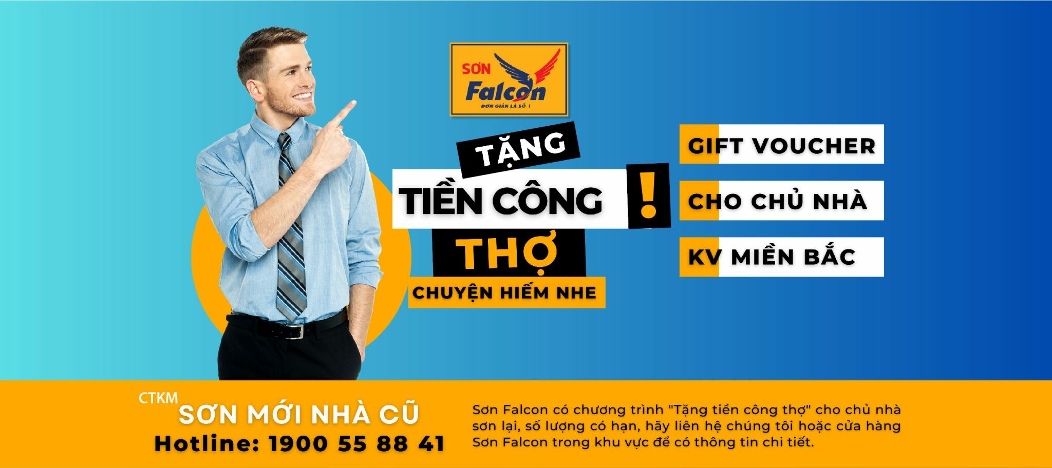 Falcon Coatings Việt Nam 1