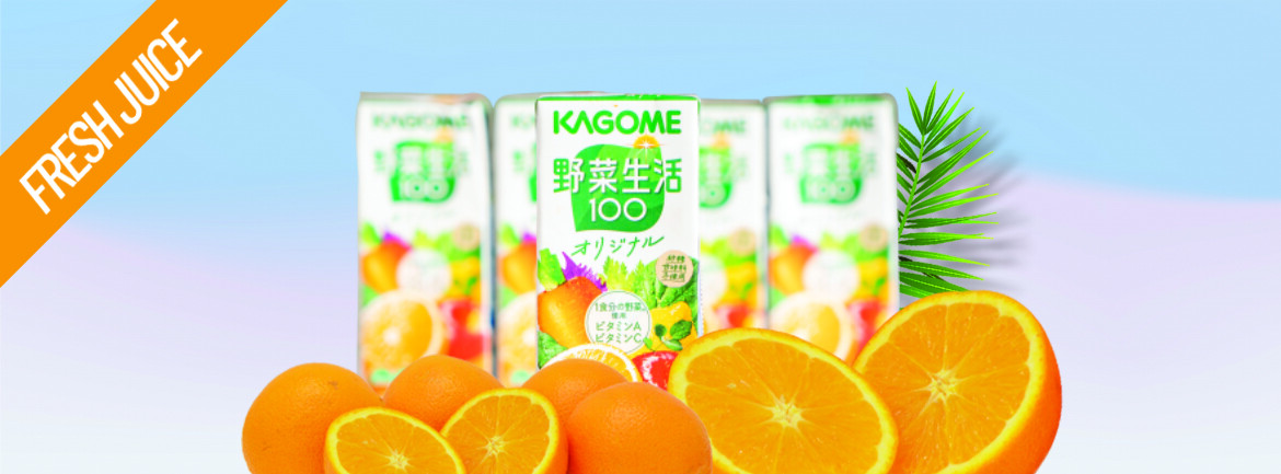 Kato Sangyo Việt Nam 8