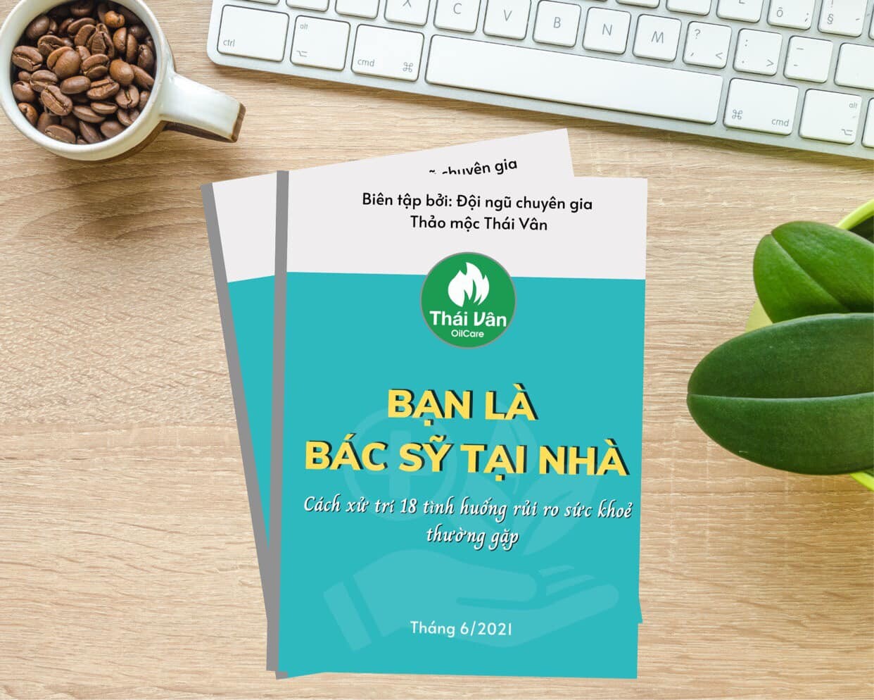 THẢO MỘC THÁI VÂN 2