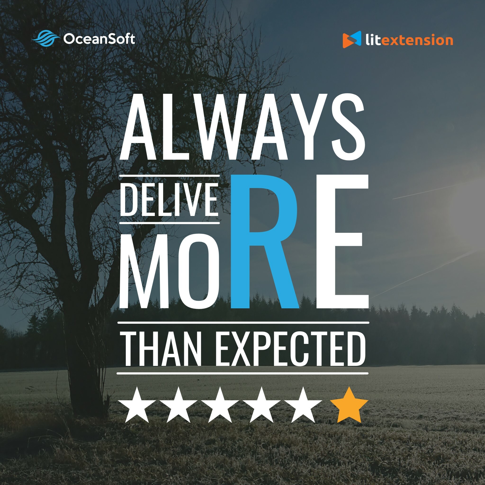 Oceansoft Việt Nam 5