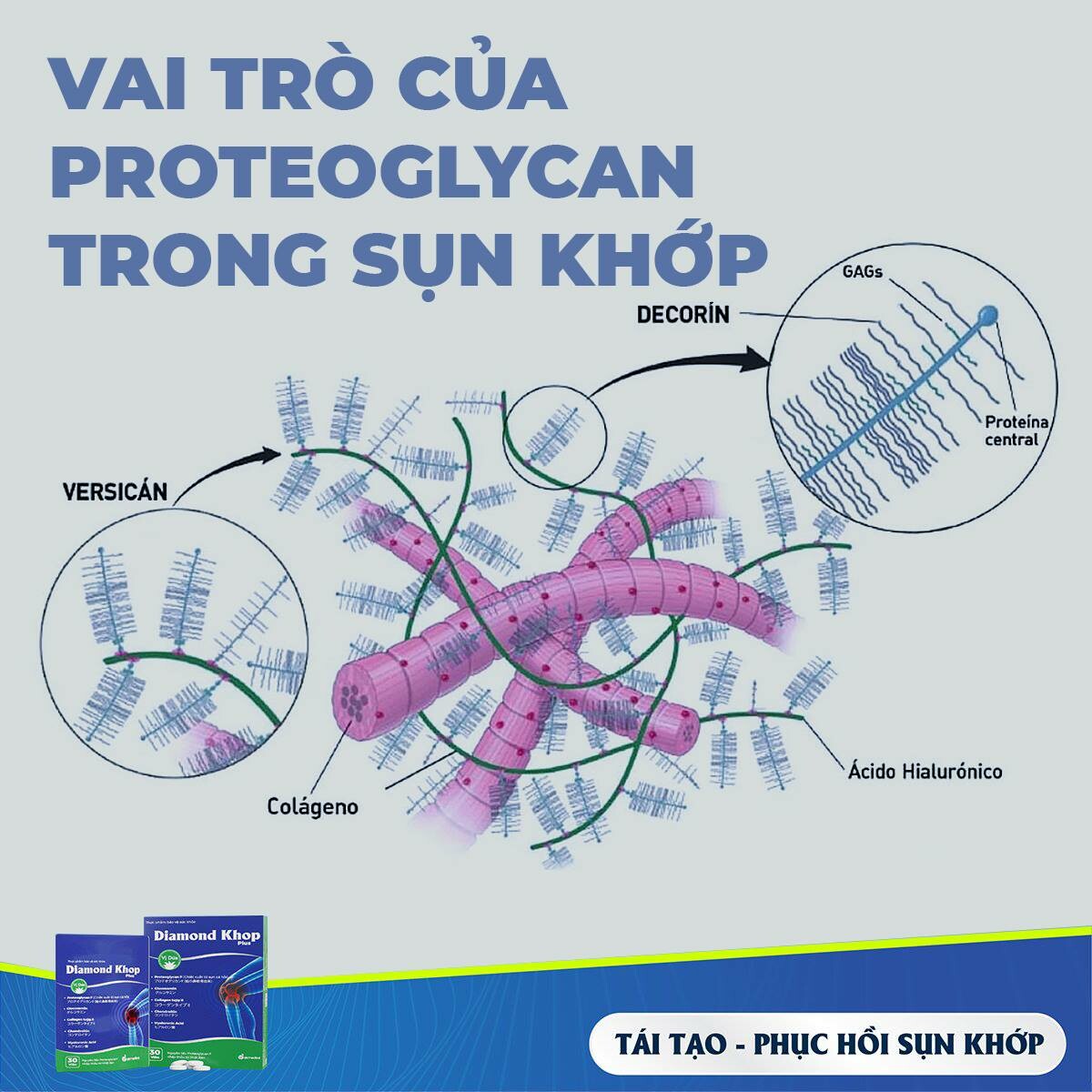 Dược Phẩm An Đông 4