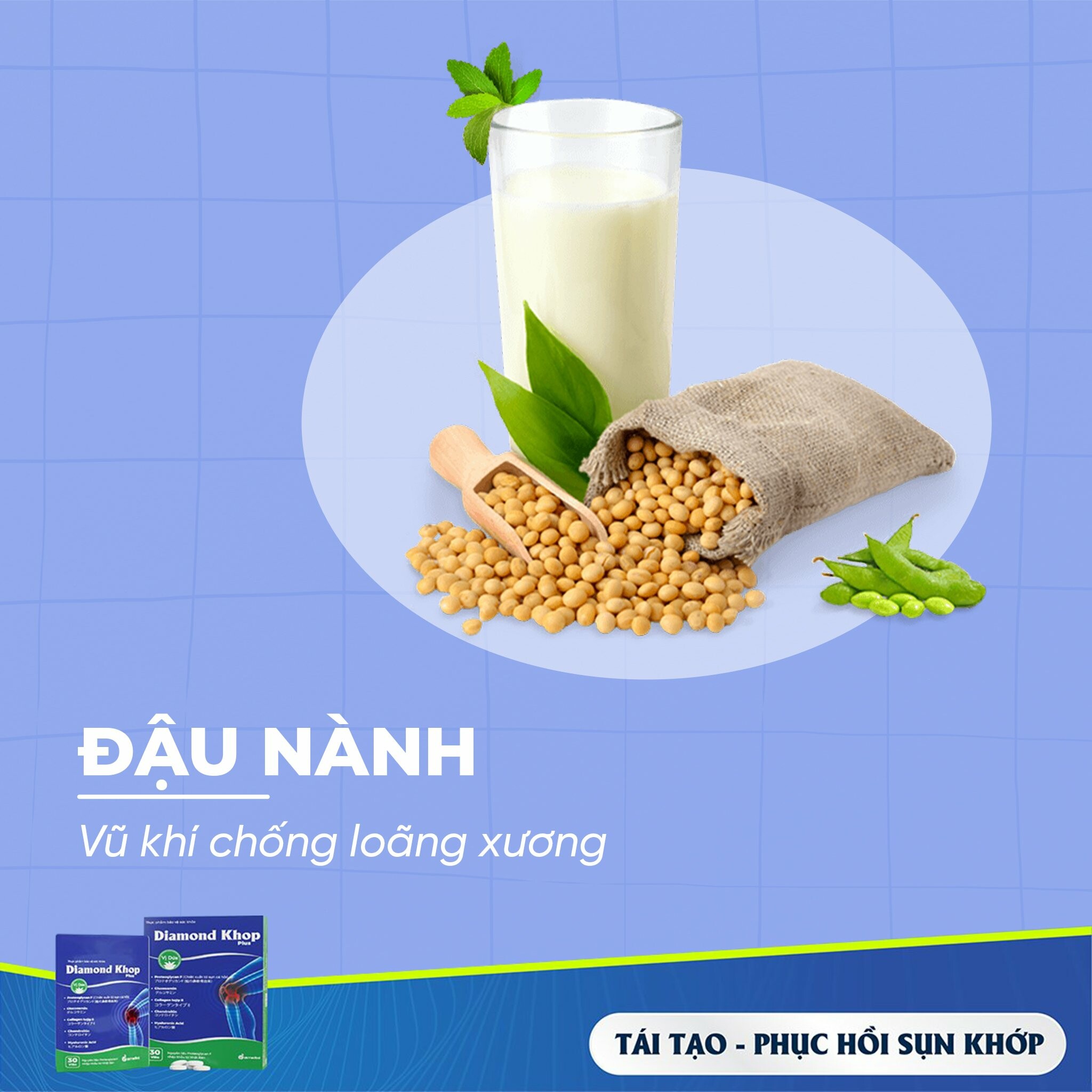 Dược Phẩm An Đông 11