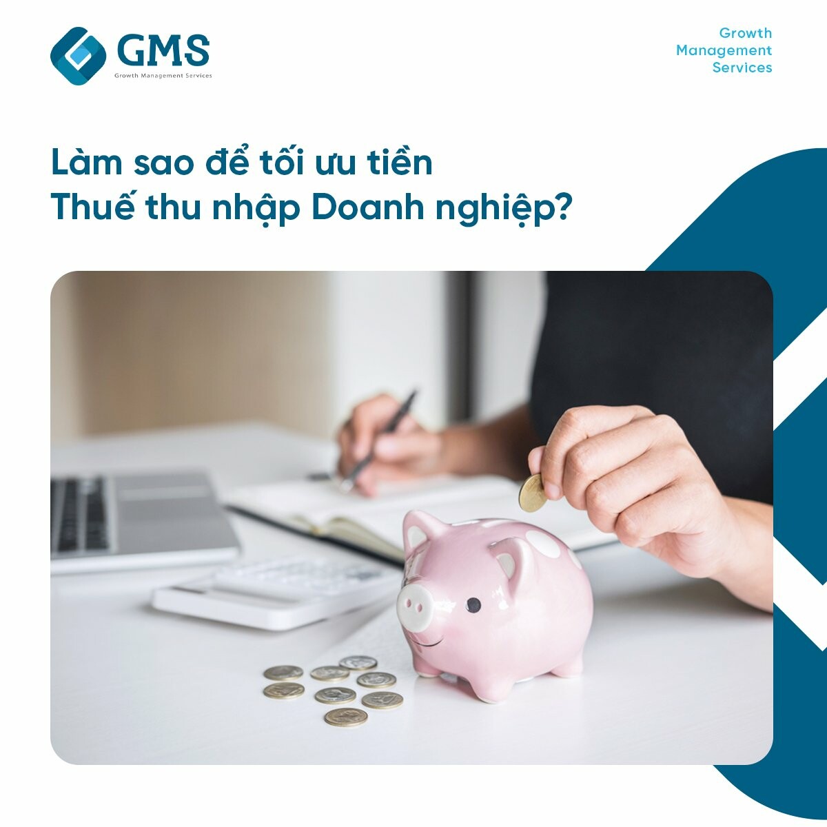 GMS Consulting 10