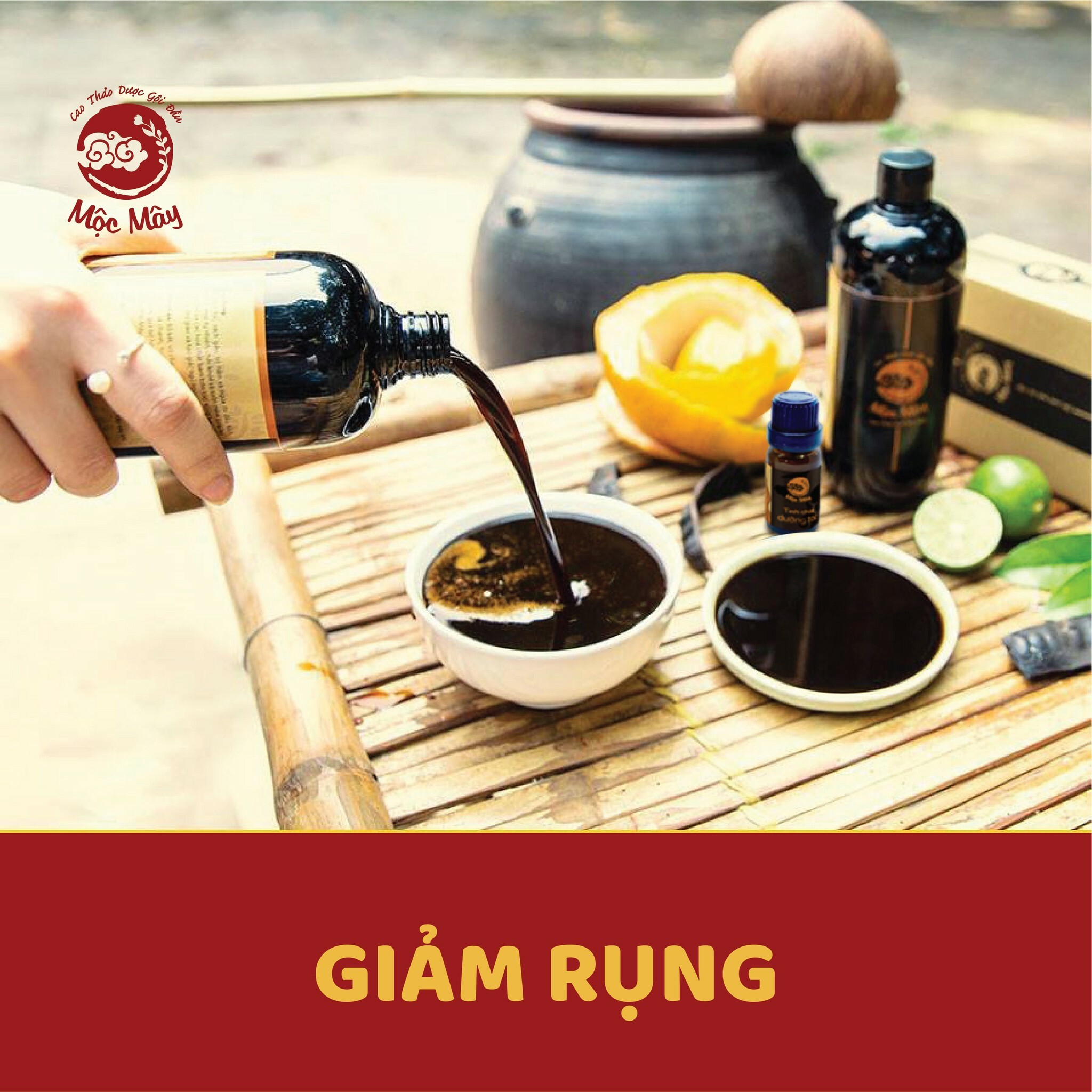 Độc Mộc Nature 2