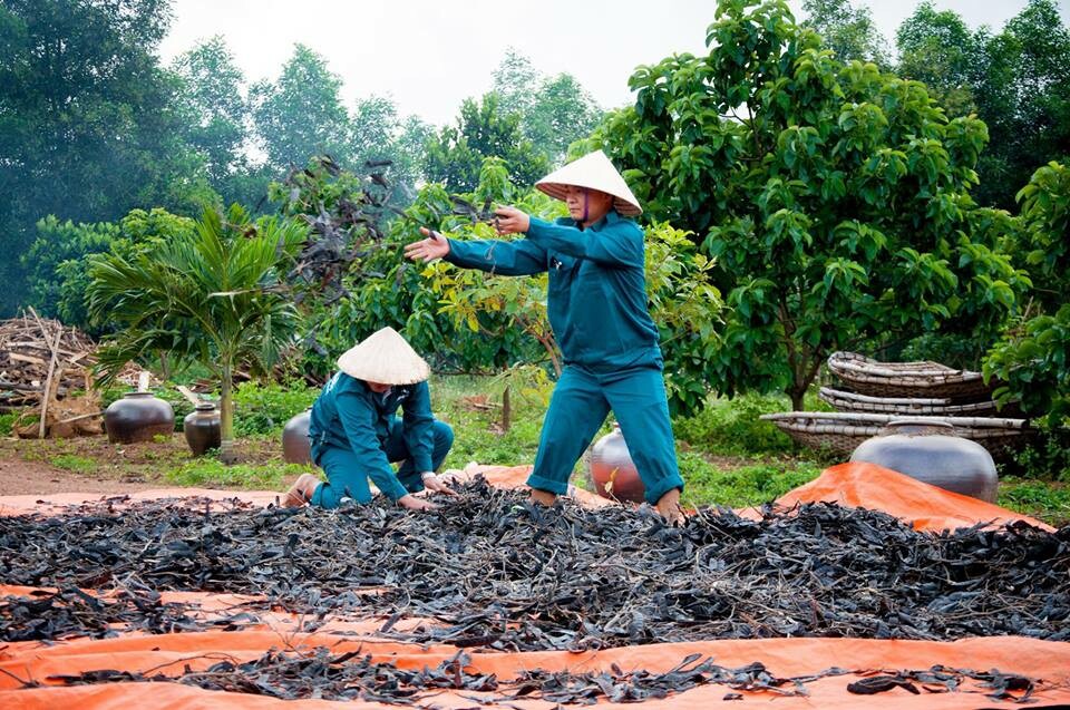 Độc Mộc Nature 8