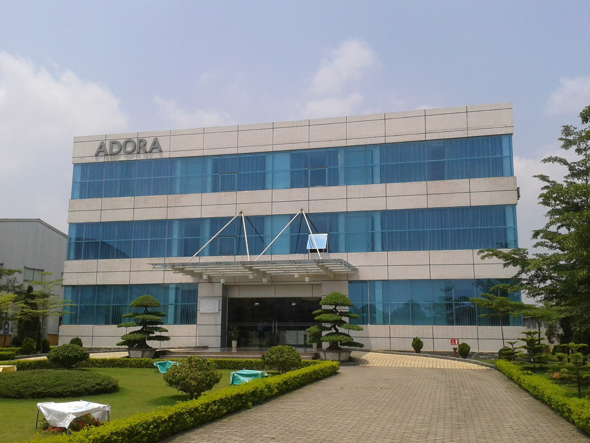 Giày ADORA Việt Nam 10