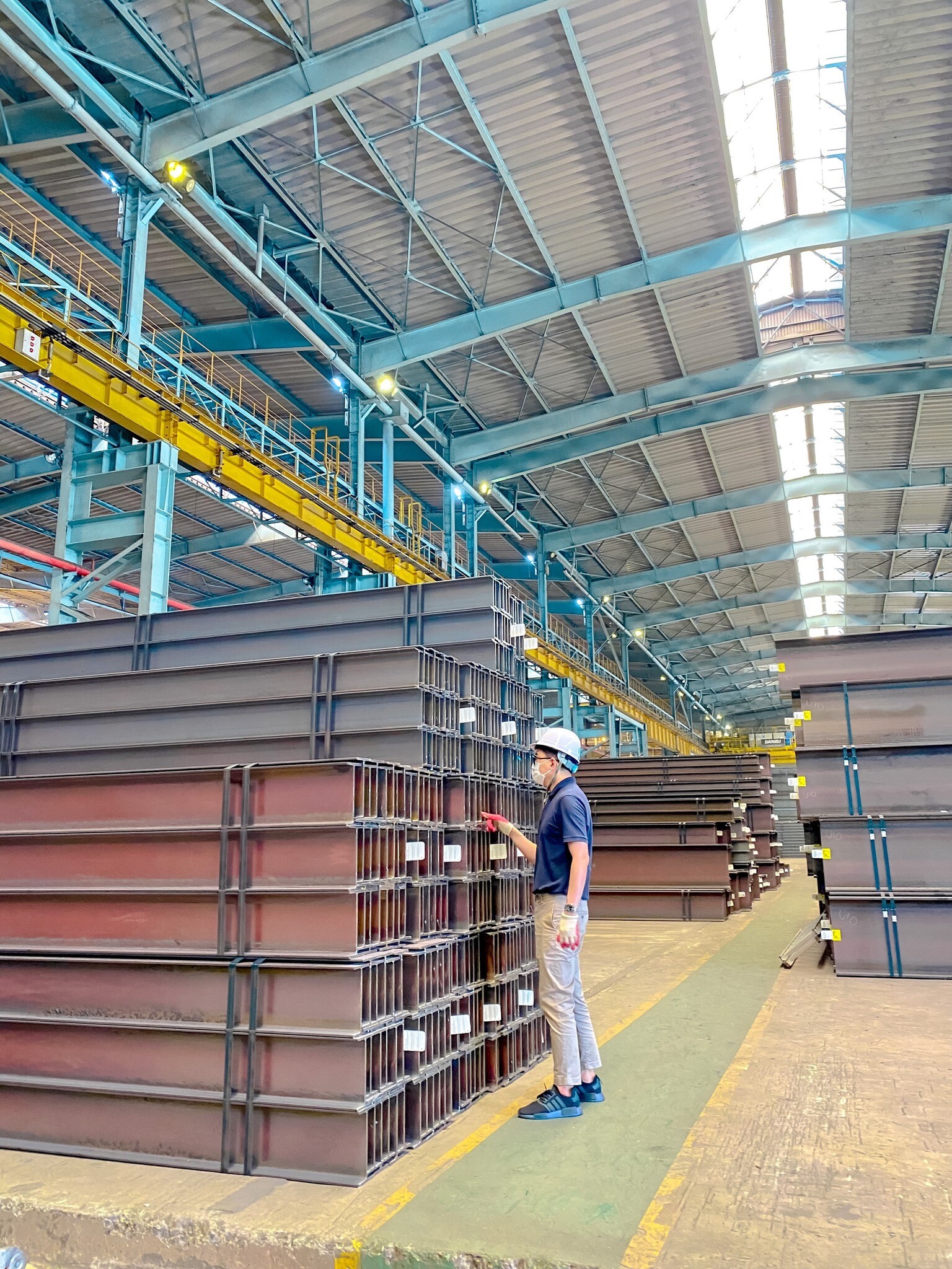 Thép Toàn Thắng 9