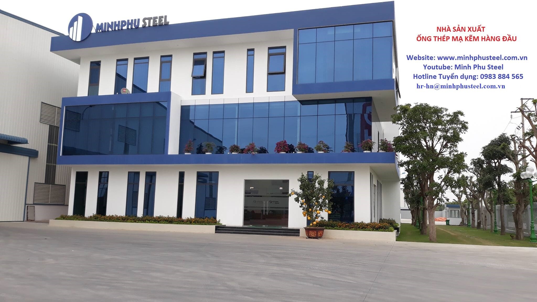 Thép Minh Phú 10