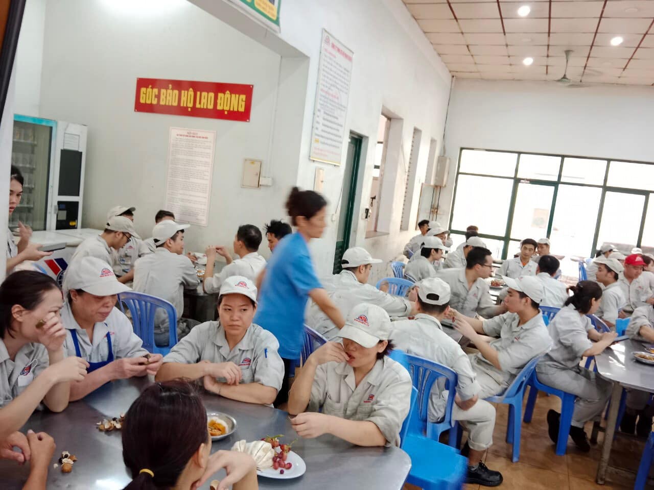 Cơ khí Mạnh Quang 6