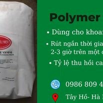 Hóa Chất & Môi Trường VAC 9