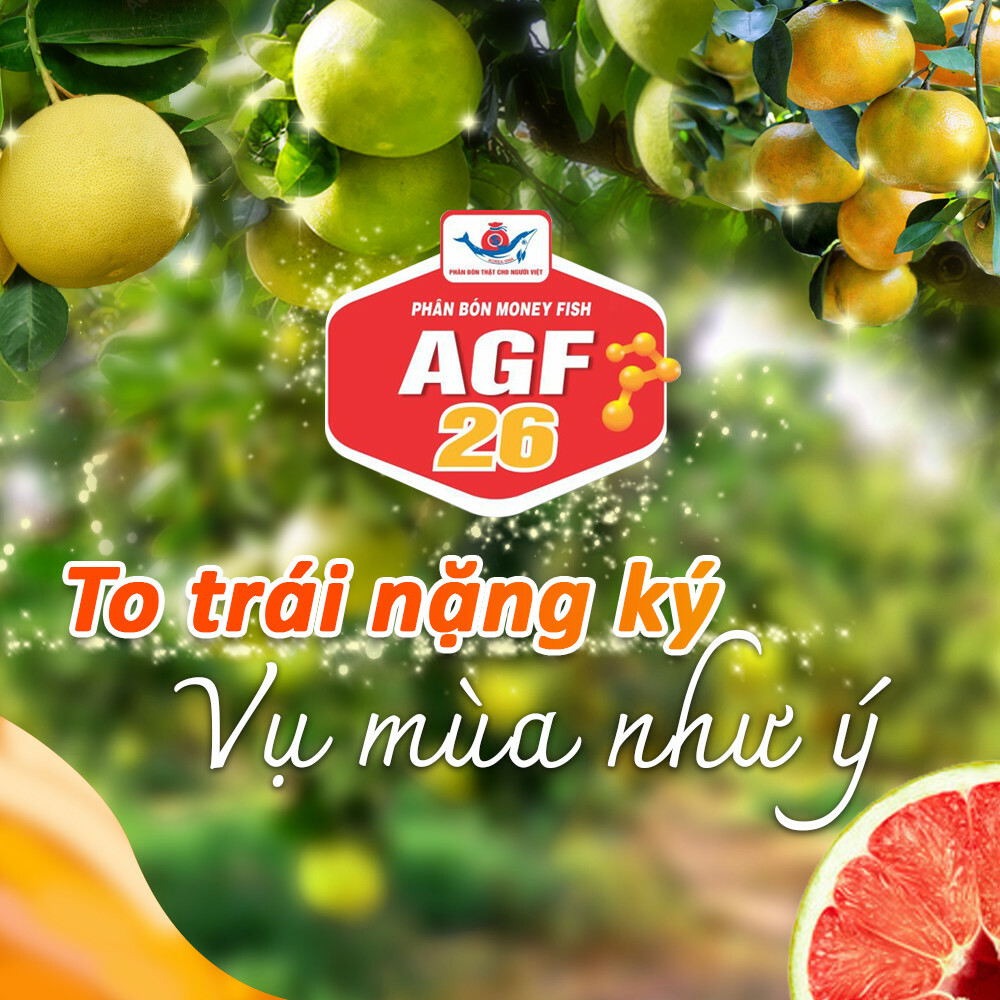 Good Farmer Việt Nam 1