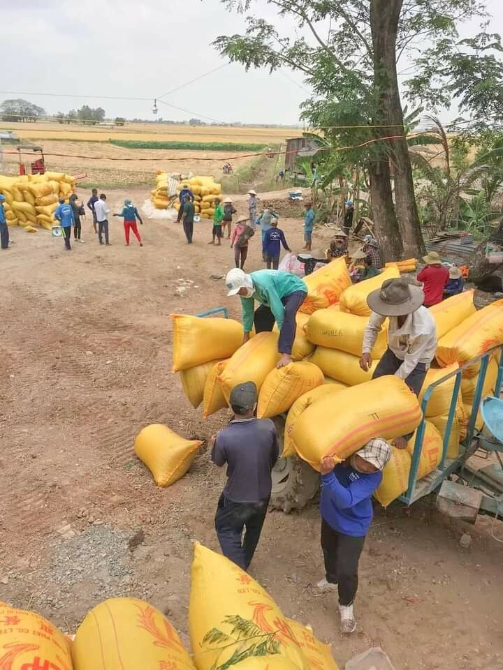 Good Farmer Việt Nam 5