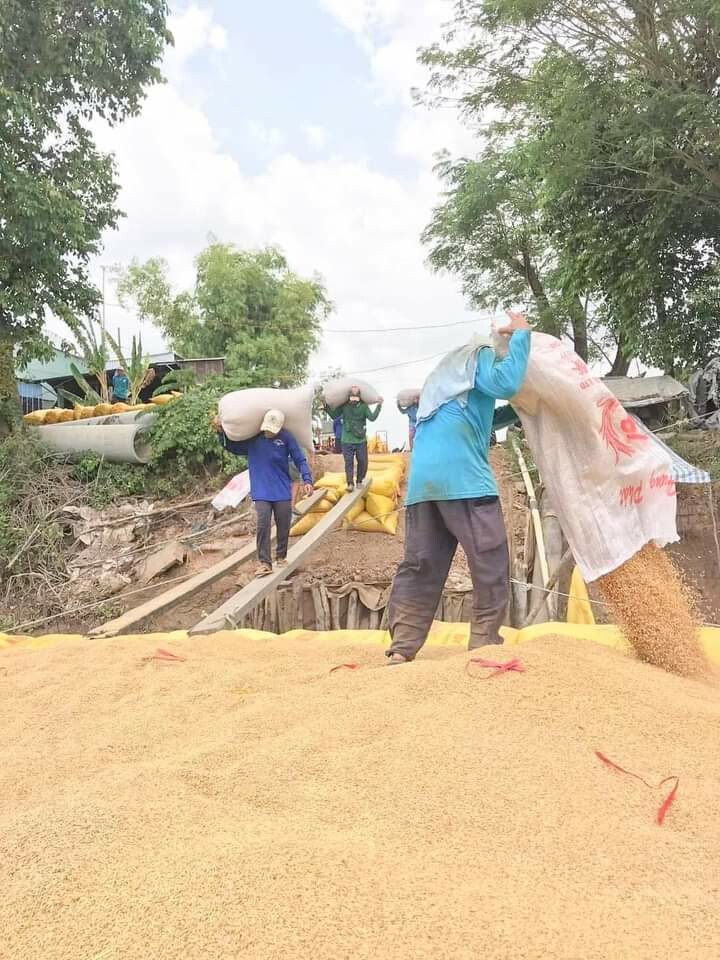 Good Farmer Việt Nam 6