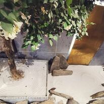 Xây Dựng Kiến Trúc Khang An 5