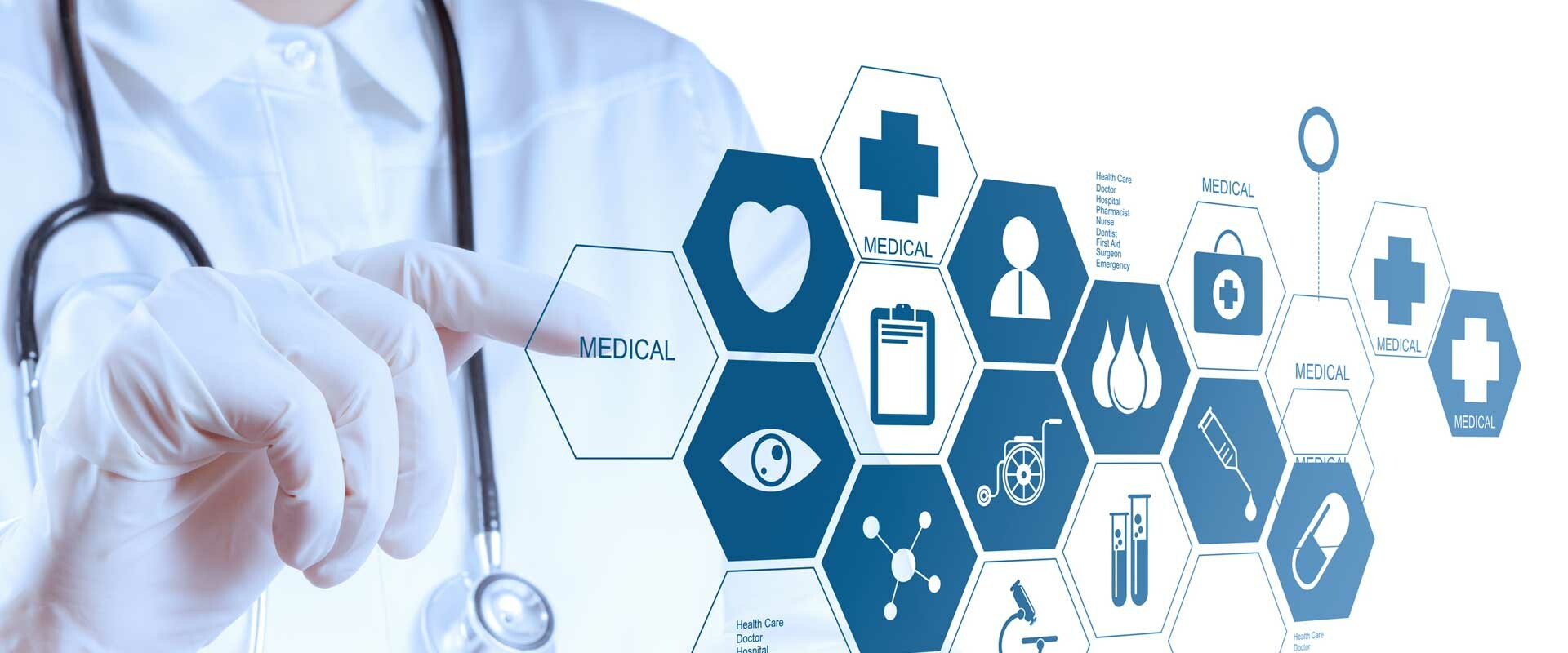 DP THUỐC VIỆT 11