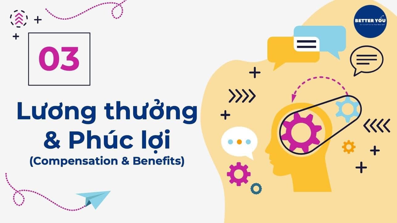 BAO BÌ TẤN PHONG 2