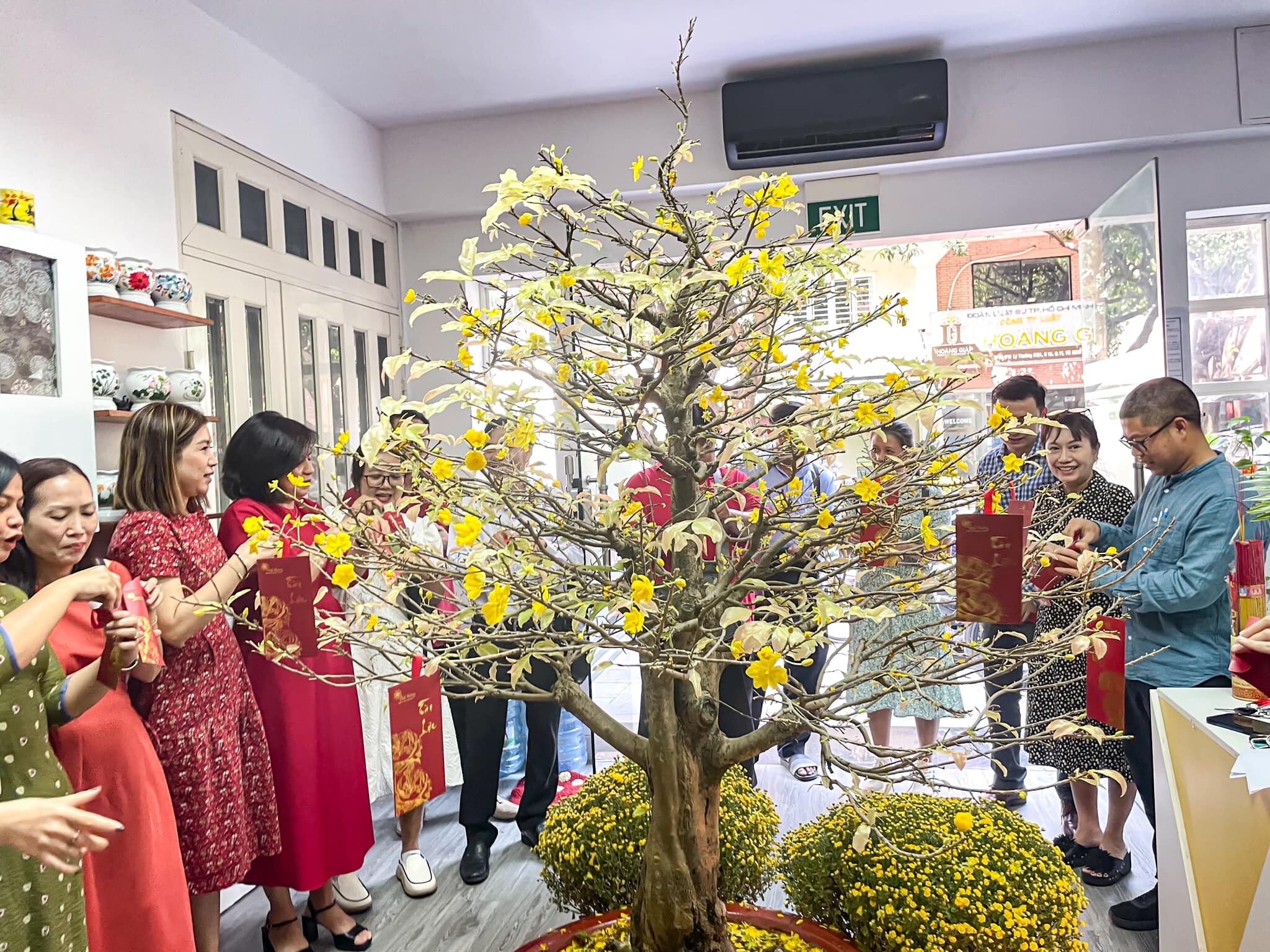 DƯỢC PHẨM ĐẠI HƯNG 9