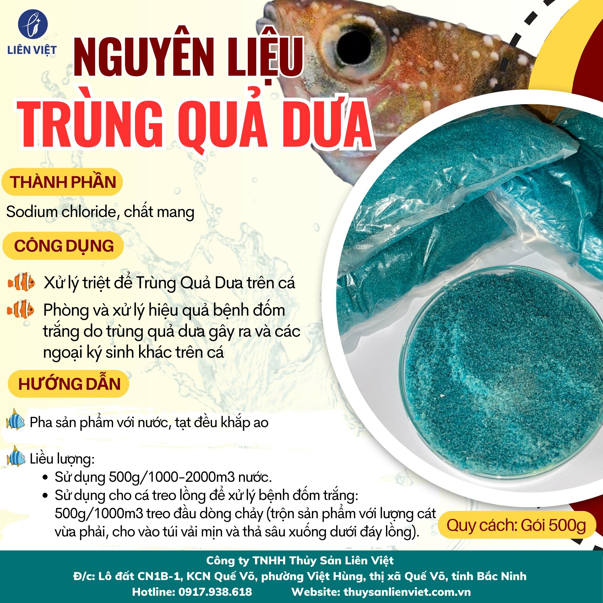 THỦY SẢN LIÊN VIỆT 1