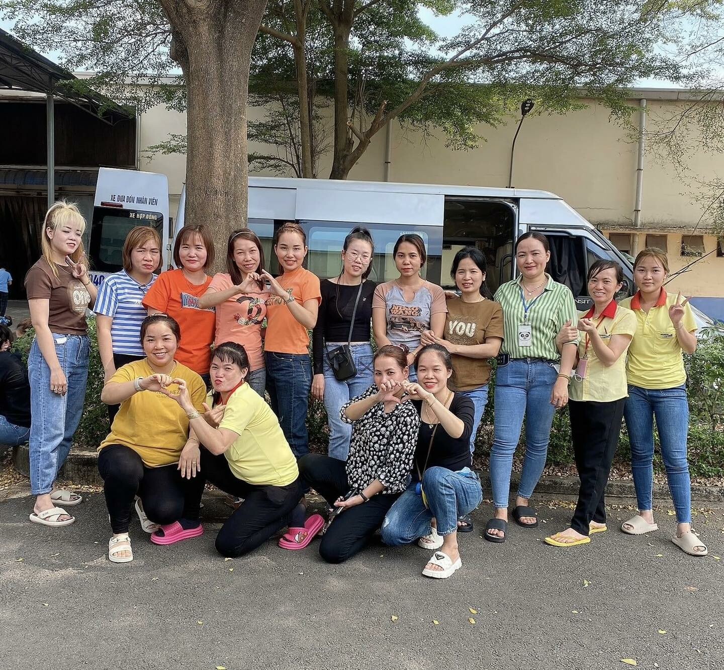 HANSOLL KOVI VINA 10