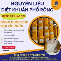 THỦY SẢN LIÊN VIỆT 2