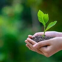 Môi trường Envi Solutions 4