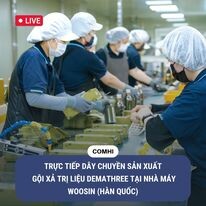Xuất Nhập Khẩu Big International Việt Nam 2