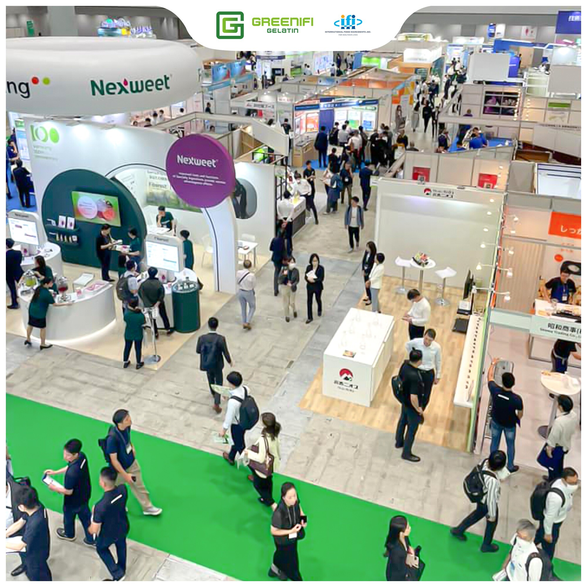 Nguyên liệu thực phẩm quốc tế - Greenifi Gelatin 7