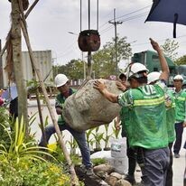Trung Tâm Trang Trí Ngoại Thất Urban Garden 10