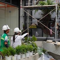 Trung Tâm Trang Trí Ngoại Thất Urban Garden 5