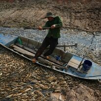 THỦY SẢN LIÊN VIỆT 9