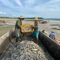 THỦY SẢN LIÊN VIỆT 10