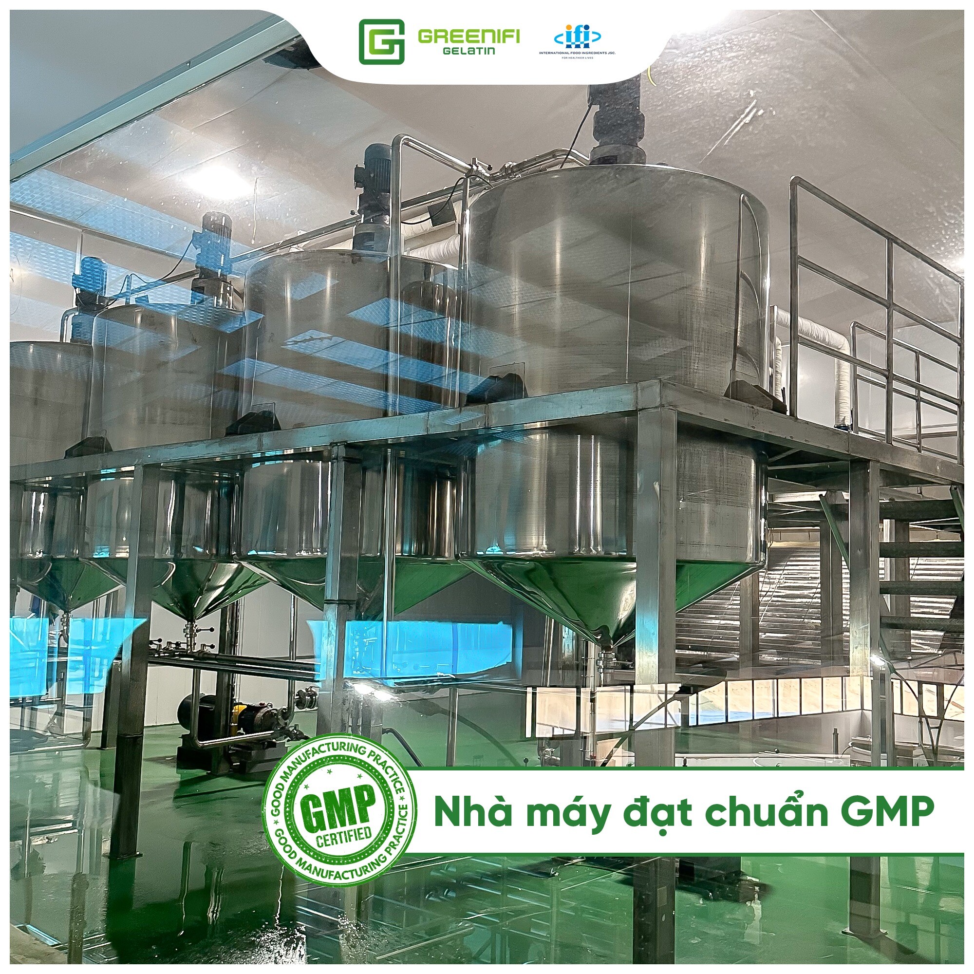 Nguyên liệu thực phẩm quốc tế - Greenifi Gelatin 4