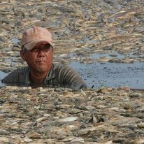 THỦY SẢN LIÊN VIỆT 8