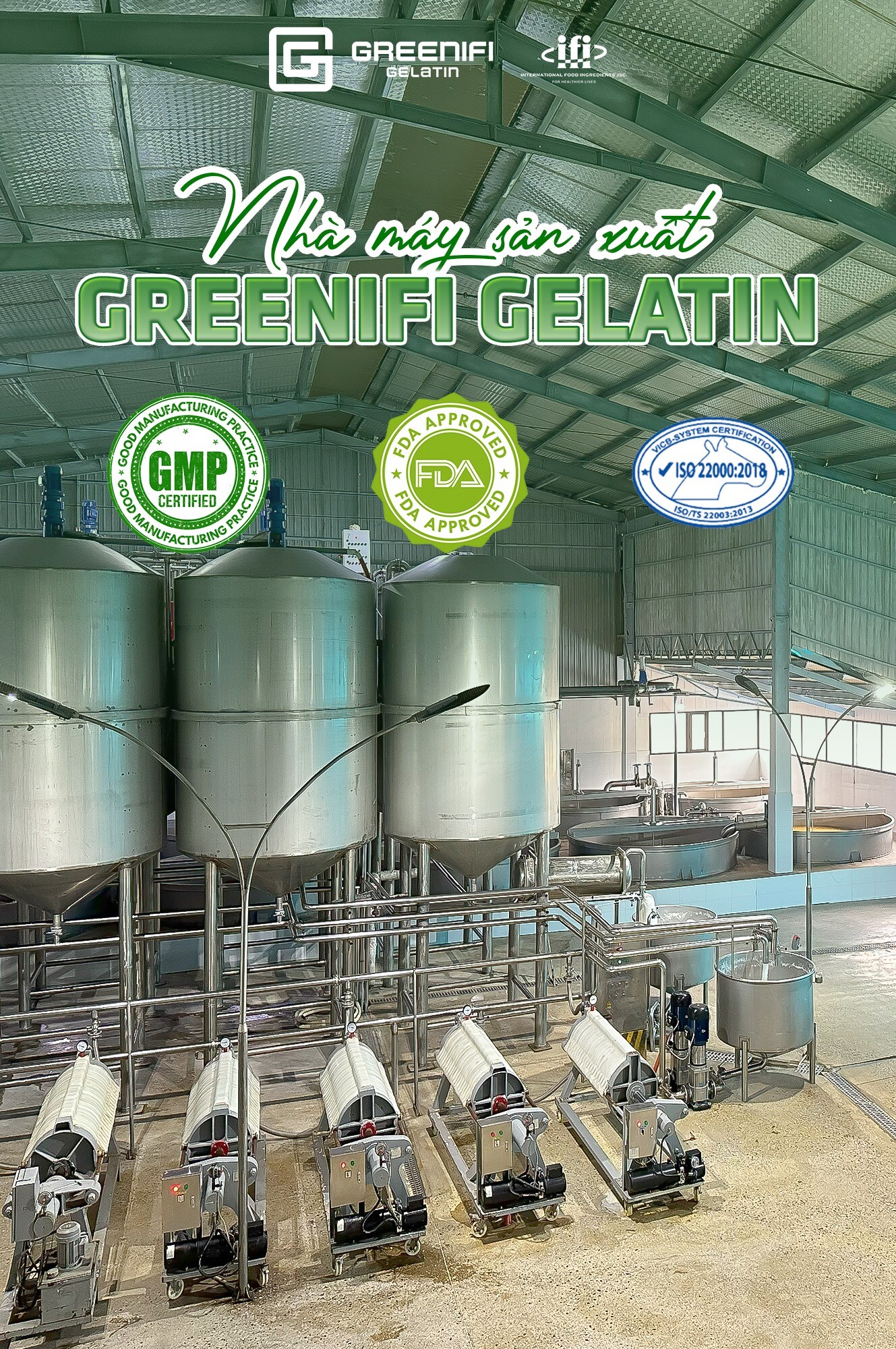 Nguyên liệu thực phẩm quốc tế - Greenifi Gelatin 1