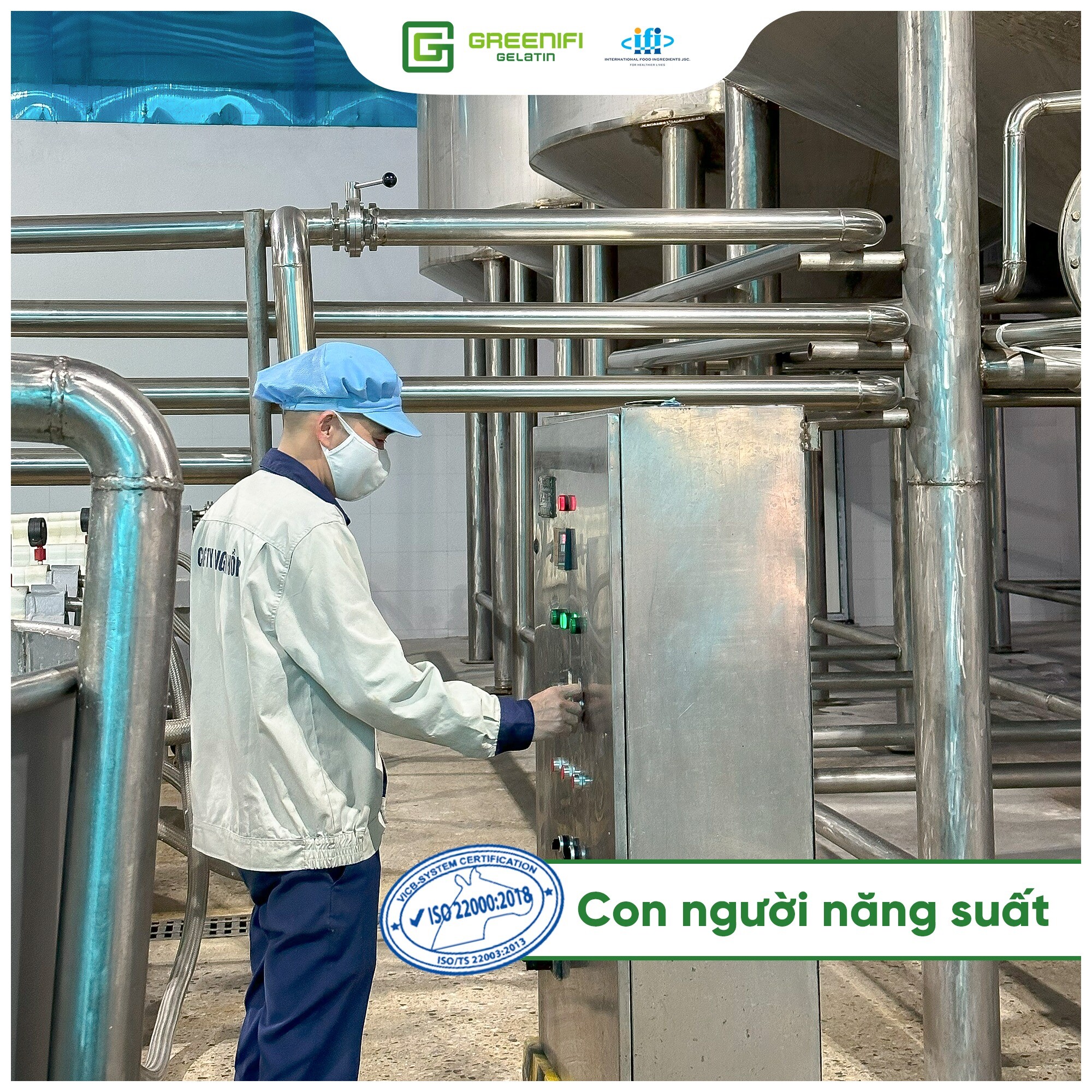 Nguyên liệu thực phẩm quốc tế - Greenifi Gelatin 3