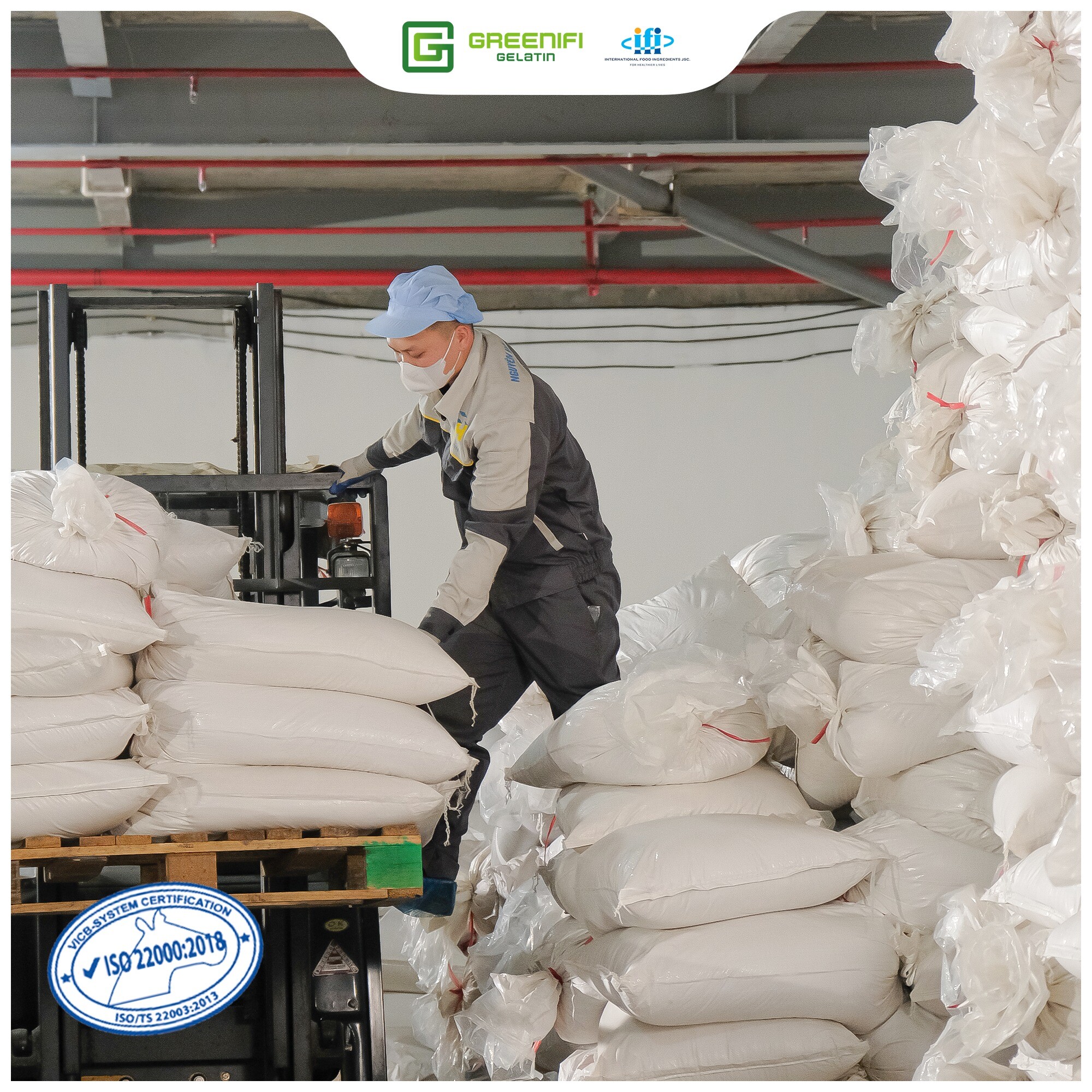 Nguyên liệu thực phẩm quốc tế - Greenifi Gelatin 10