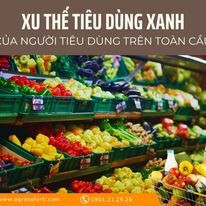 Nhà máy phân bón Bio Agrosa 4