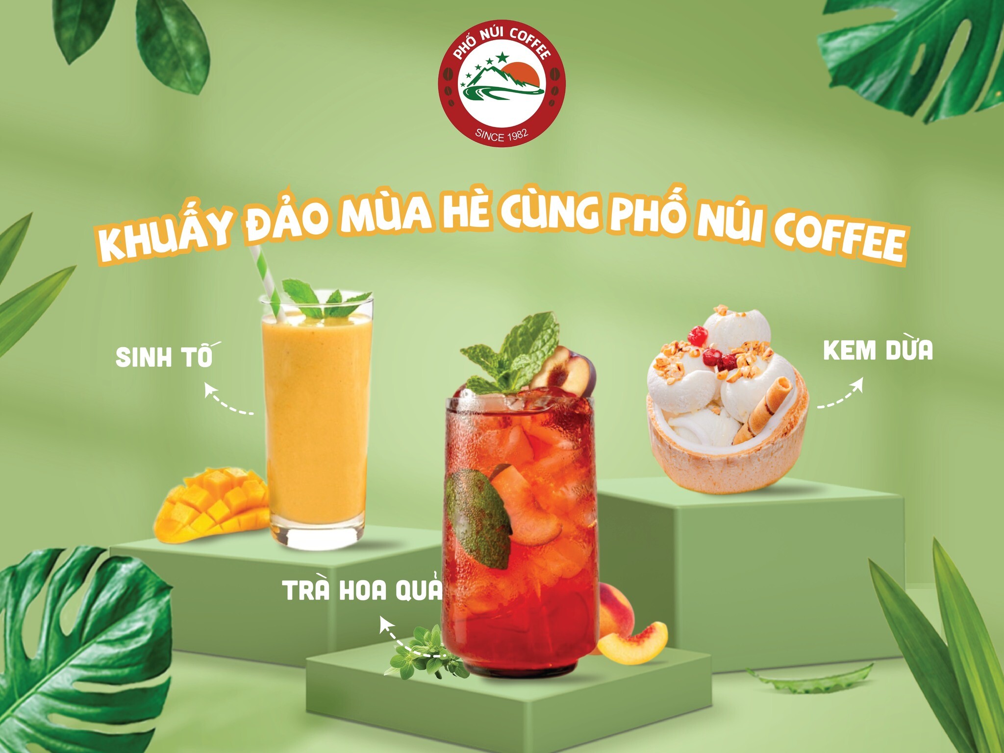 TẬP ĐOÀN COFFEE PHỐ NÚI 2