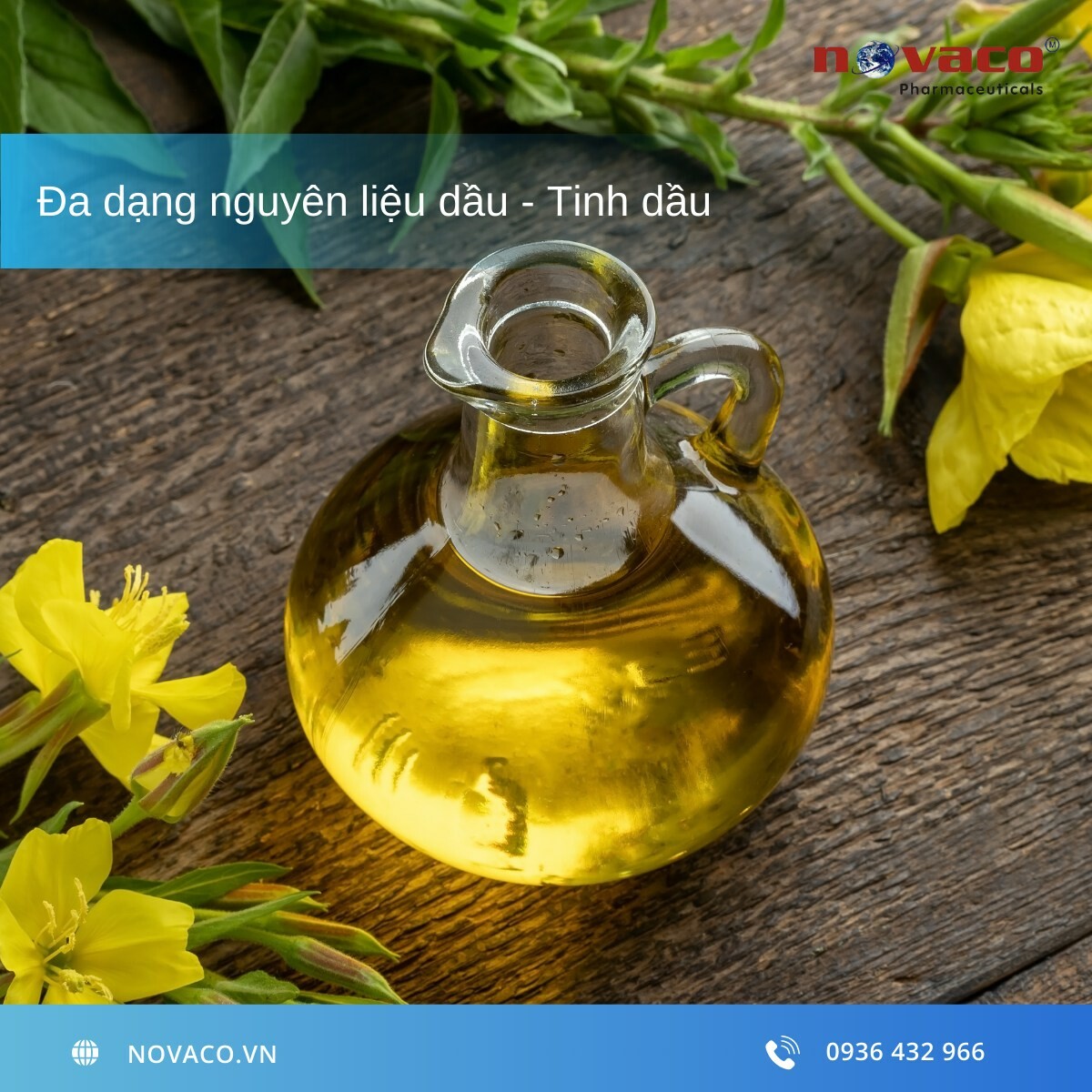 DƯỢC PHẨM NOVACO 5