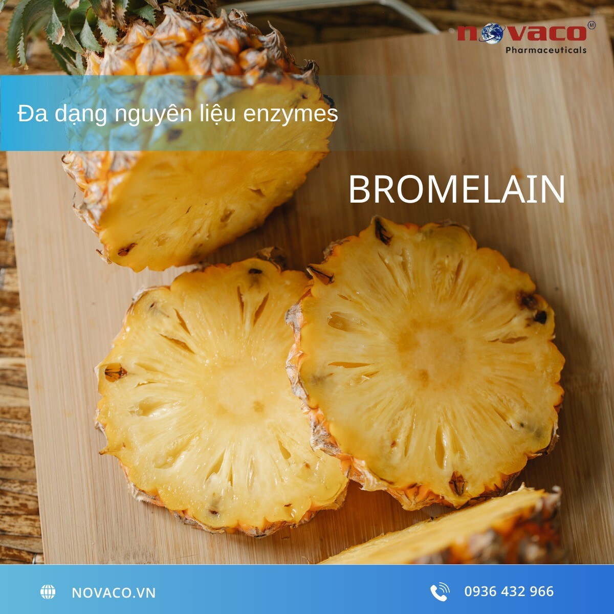 DƯỢC PHẨM NOVACO 4